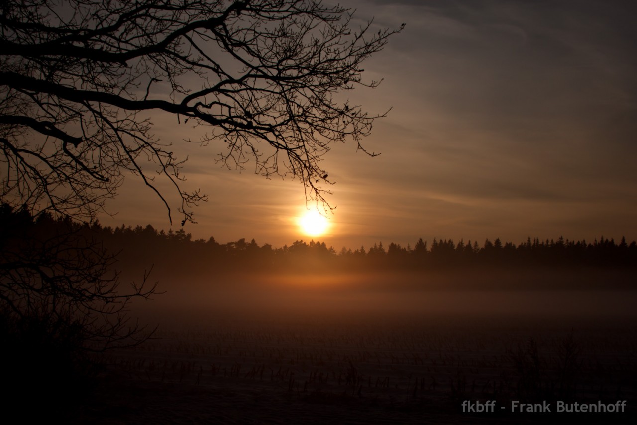 Wintersonne am Abend