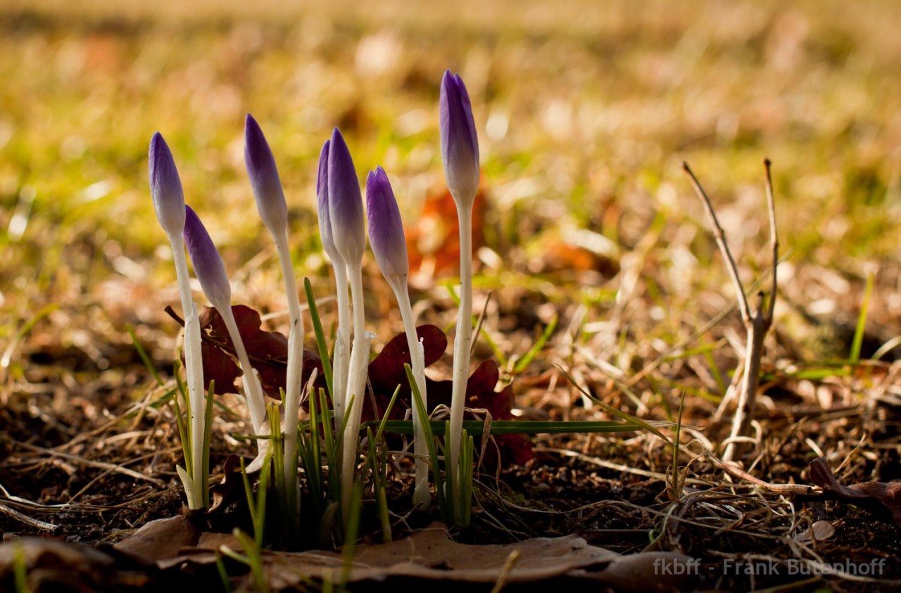 Der Frühling steht vor der Tür - hoffentlich!